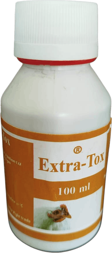 اكسترا توكس