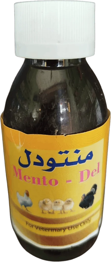 منتودل — ١٠٠ سم
